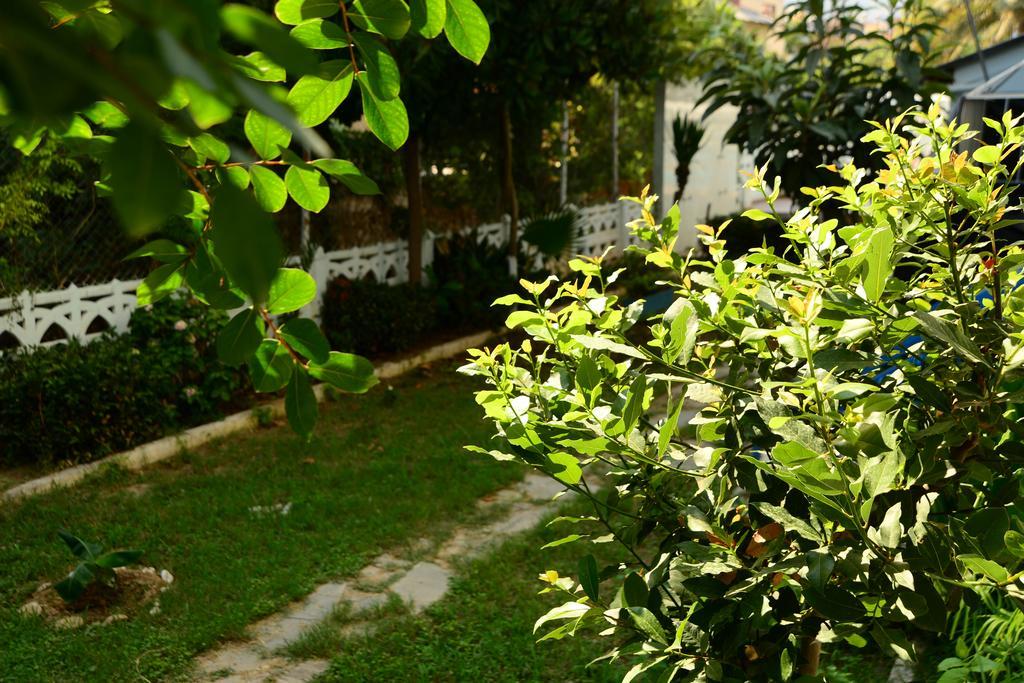 Pinar Hotel Alanya Bagian luar foto