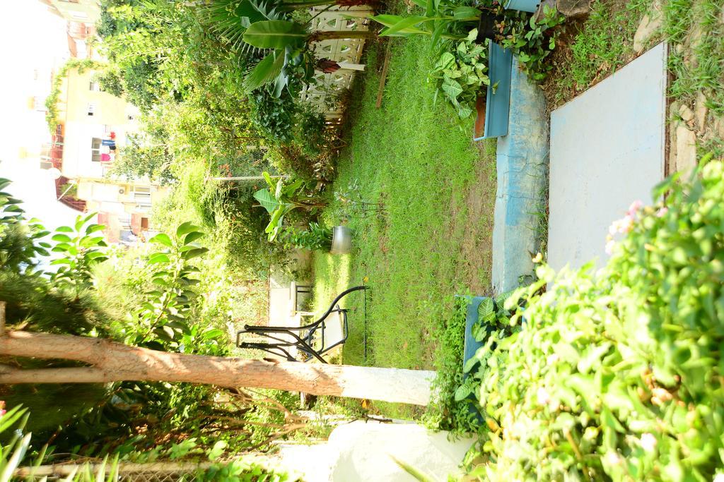 Pinar Hotel Alanya Bagian luar foto