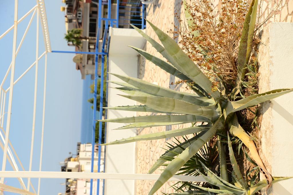Pinar Hotel Alanya Bagian luar foto